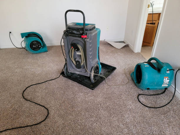 Best Water damage cleanup near me  in Melcher Dallas, IA