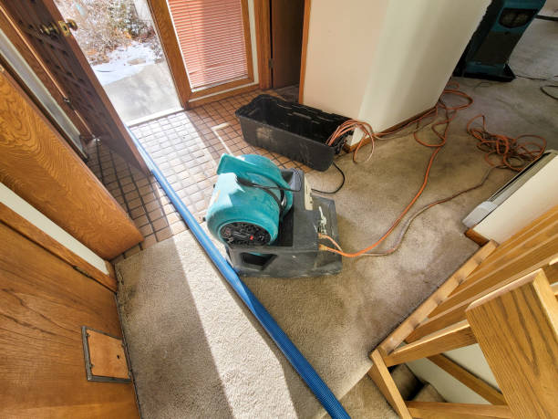 Best Flooded house restoration  in Melcher Dallas, IA