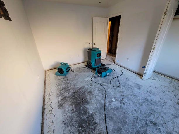 Best Professional water damage repair  in Melcher Dallas, IA