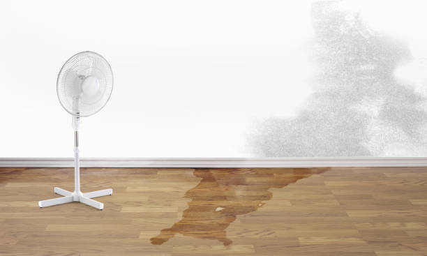 Best Flooded house restoration  in Melcher Dallas, IA