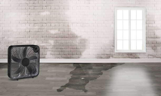 Best Water damage restoration near me  in Melcher Dallas, IA