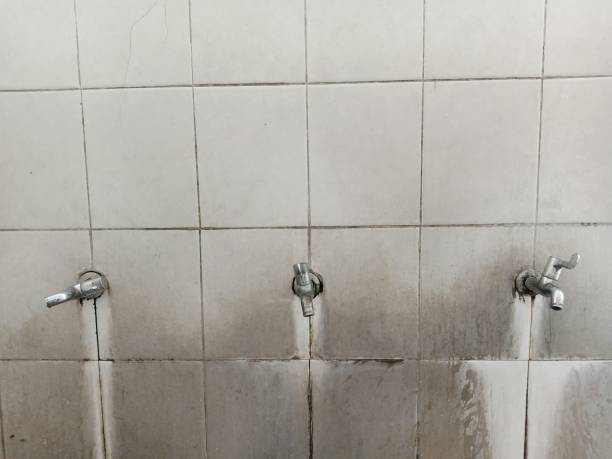 Best Carpet water damage restoration  in Melcher Dallas, IA