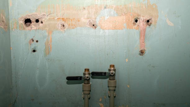 Carpet water damage restoration in IA