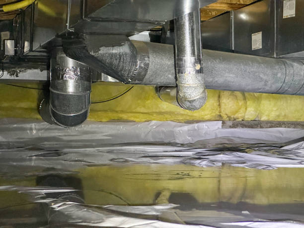 Best Water damage restoration near me  in Melcher Dallas, IA