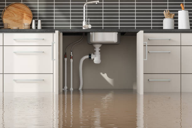 Best Basement water damage restoration  in Melcher Dallas, IA