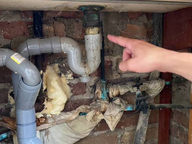 Best Fire Damage Restoration  in Melcher Dallas, IA