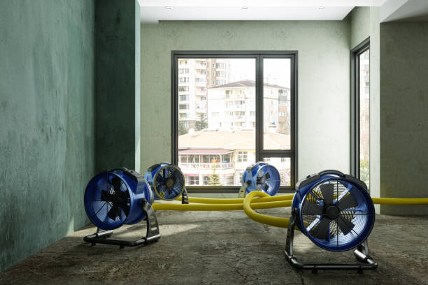 Best Water damage contractors near me  in Melcher Dallas, IA
